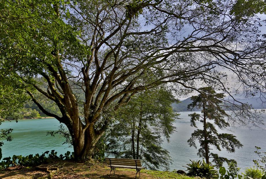 101.loft do sandi.jpg