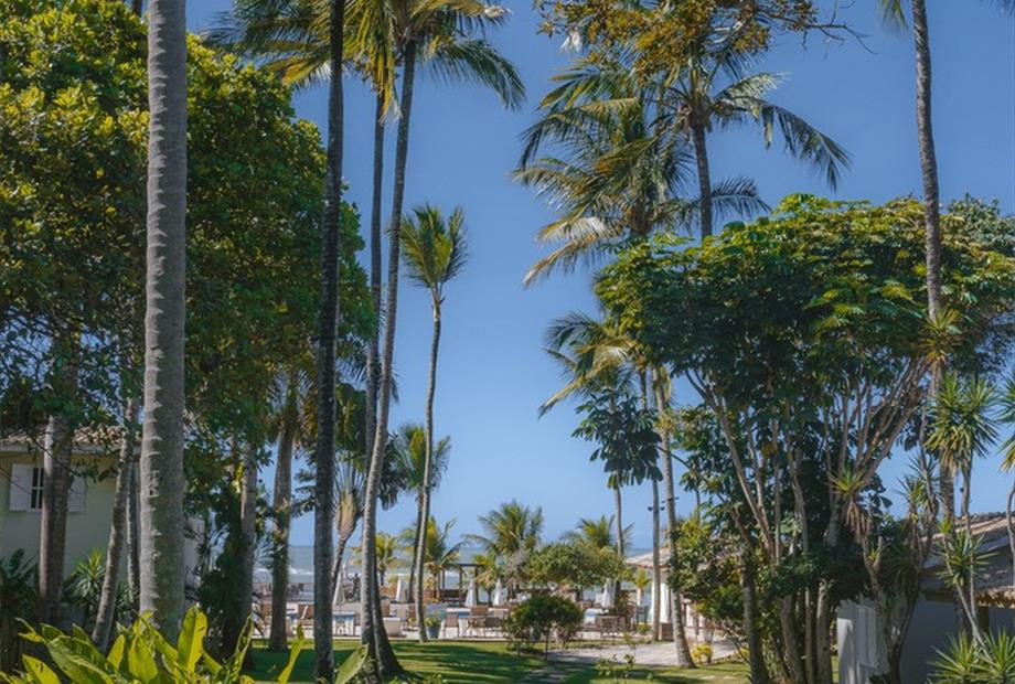 postada img_6792_easy-resize.com.jpg