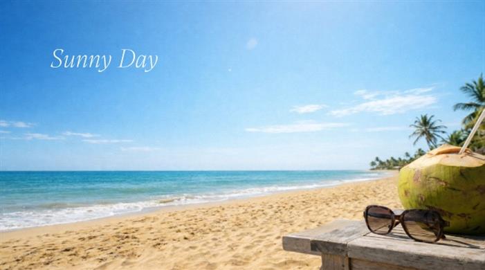 SUNNY DAY