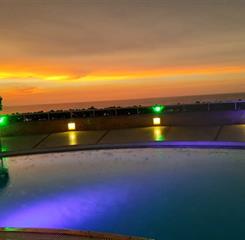 578a0166-5103-4e3b-97b1-53590dd82842 (1) (1).jpg