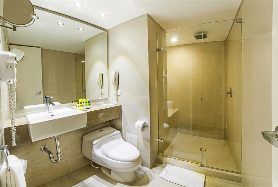 baño ejecutiva plus (2) (1).jpg