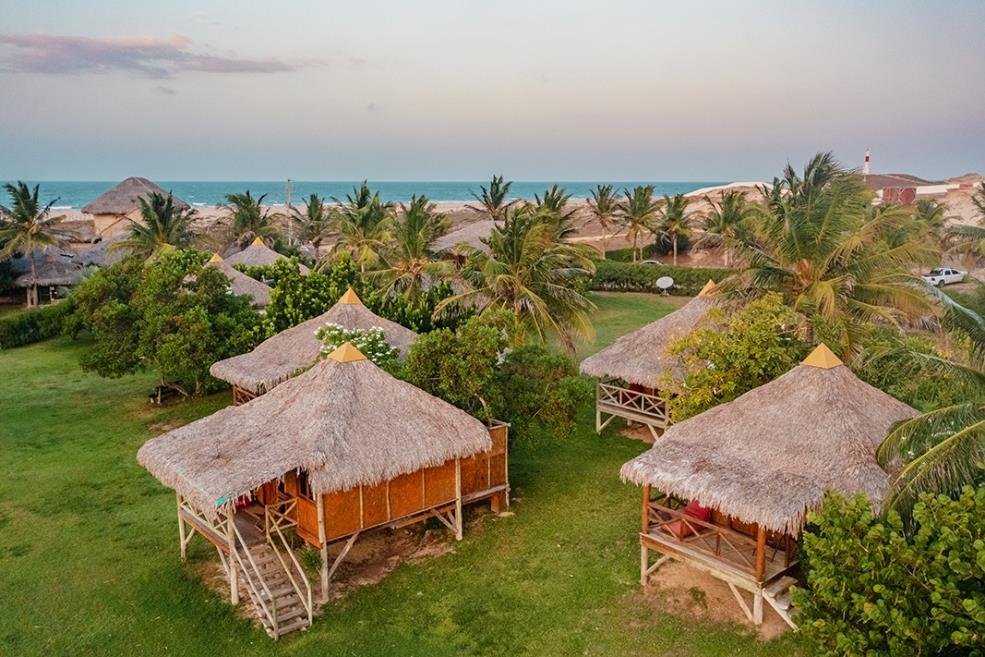 dji_0981.jpg