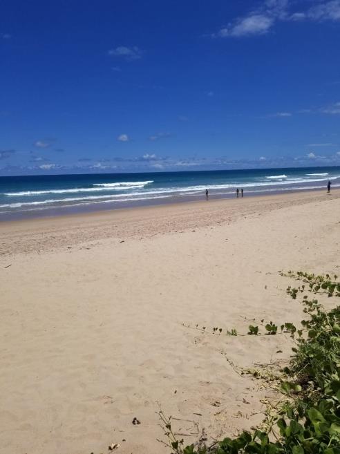 PRAIA 1 M.jpg
