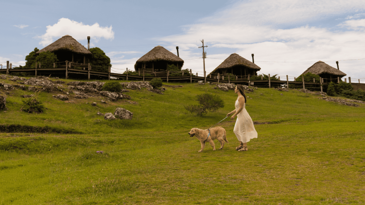 parador pet friendly.png