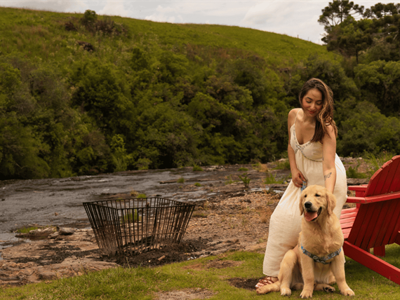 parador pet friendly (1).png