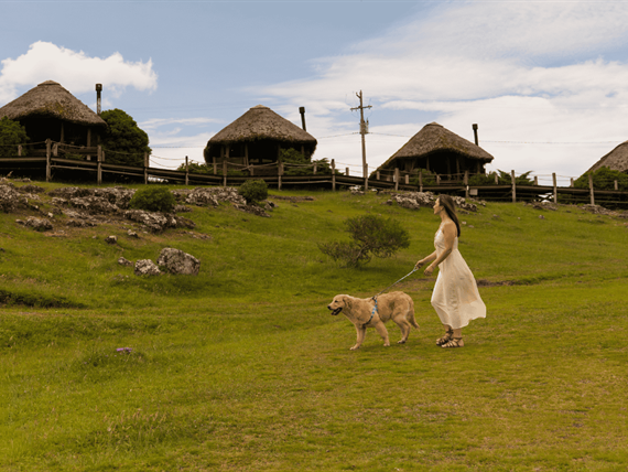 parador pet friendly.png