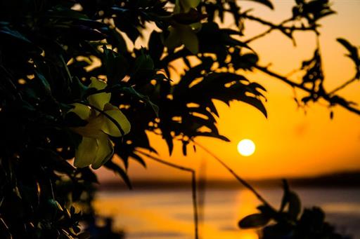 whatsapp image 2024-06-10 at 14.35.24 (9).jpeg