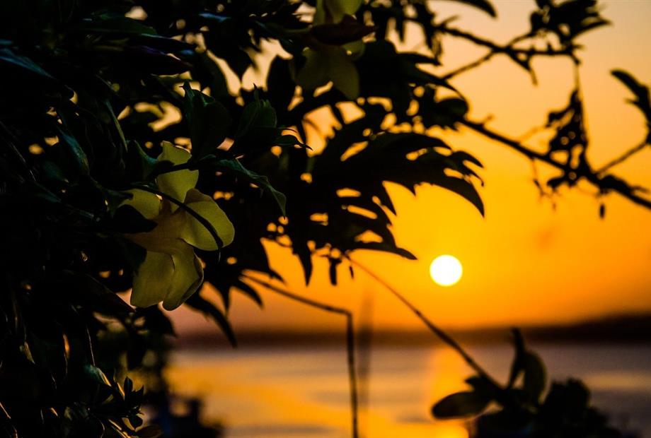 whatsapp image 2024-06-10 at 14.35.24 (9).jpeg