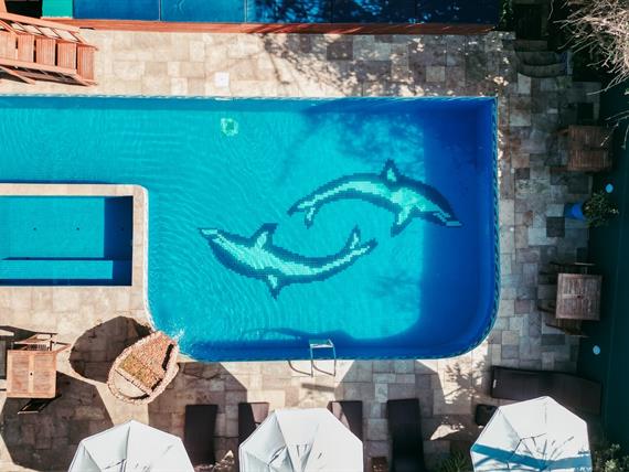 va drone 2_easy-resize.com.jpg