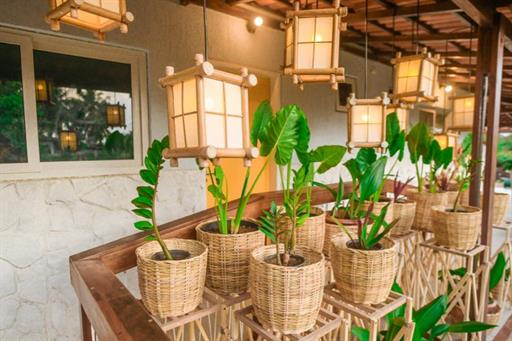 whatsapp image 2021-01-18 at 11.15.03 (1).jpeg