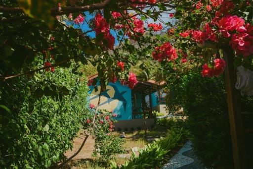 whatsapp image 2022-02-28 at 18.08.02 (15).jpeg