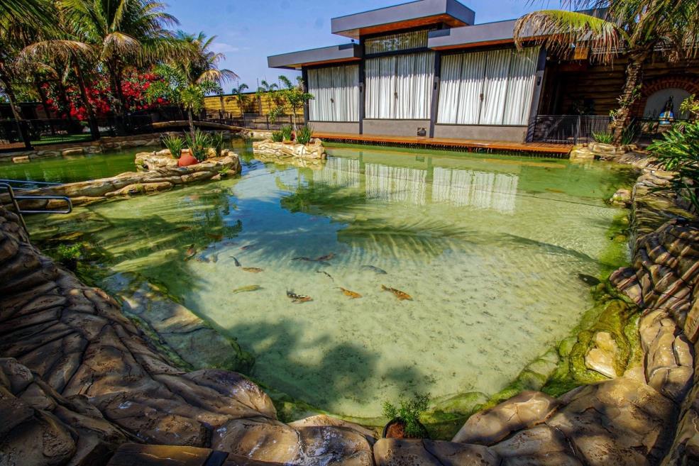 piscina natural.jpg