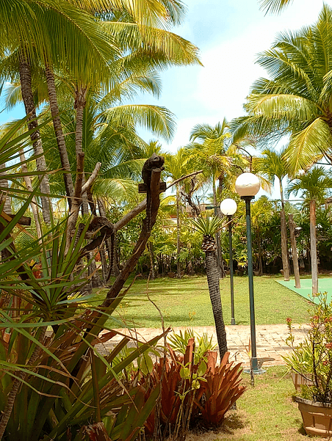 Imagem ilustrativa do hotel Catussaba Suítes