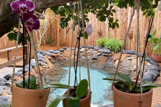 whatsapp image 2023-01-25 at 09.46.42 (1).jpeg