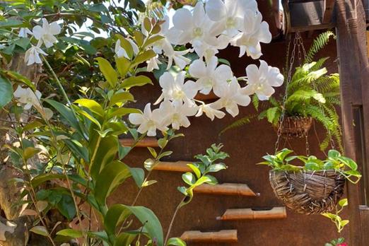 whatsapp image 2023-01-25 at 09.47.58 (1).jpeg