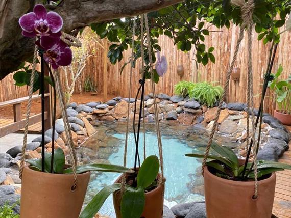 whatsapp image 2023-01-25 at 09.46.42 (1).jpeg