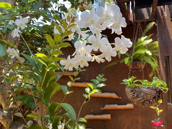 whatsapp image 2023-01-25 at 09.47.58 (1).jpeg