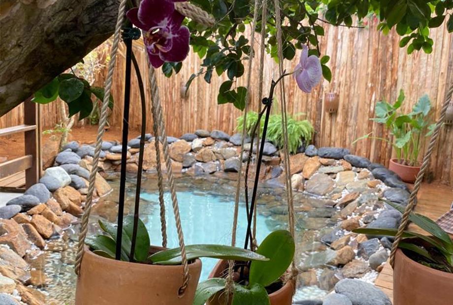 whatsapp image 2023-01-25 at 09.46.42 (2).jpeg