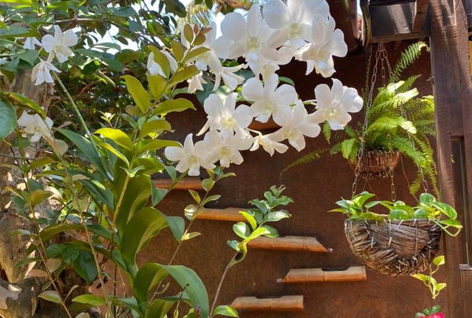 whatsapp image 2023-01-25 at 09.47.58 (1).jpeg