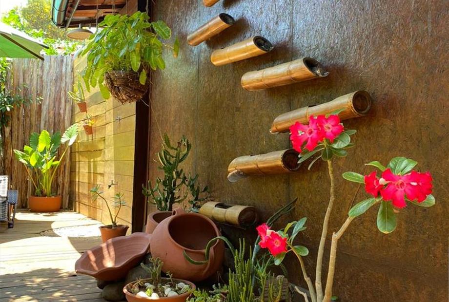 whatsapp image 2023-01-25 at 09.47.58.jpeg