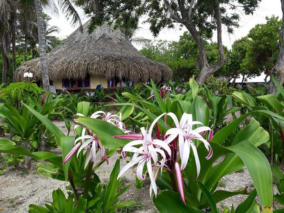 Isla del Pirata Hotel