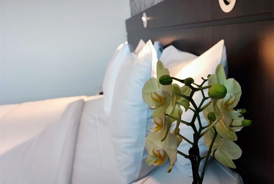 alpha luxo 3 novo.jpg