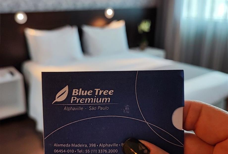 alpha luxo 6 novo.jpg