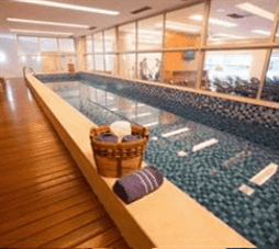 Hplus Vision Executive