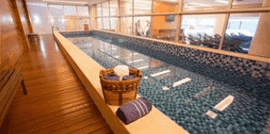 Hplus Vision Executive