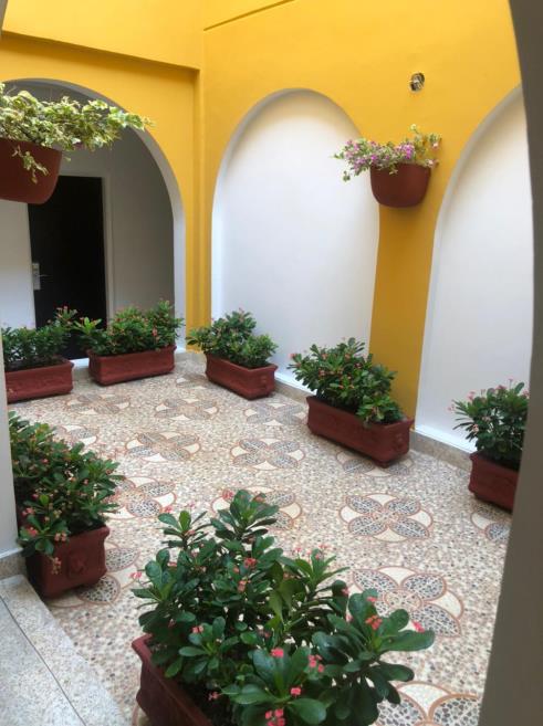 JARDIN INTERNO 8.jpeg
