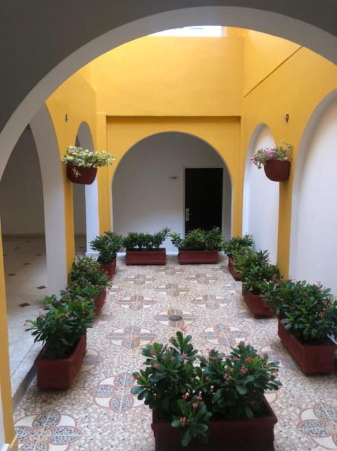 JARDIN INTERNO 9.jpeg