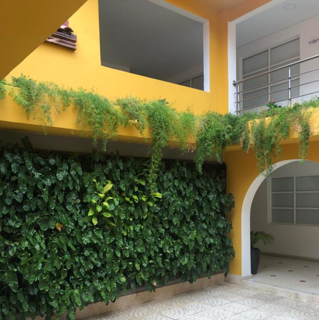 JARDIN INTERNO.jpeg