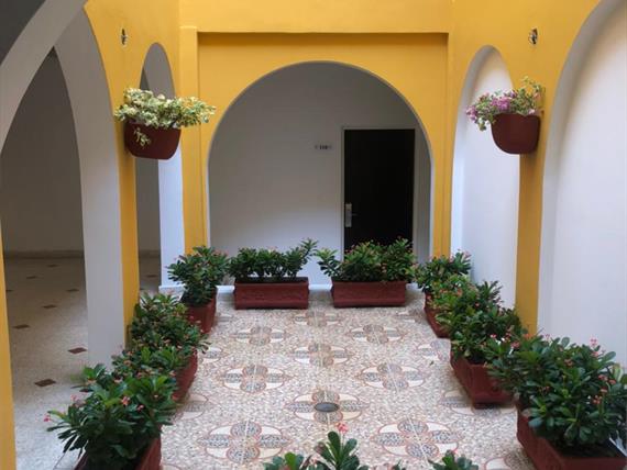 JARDIN INTERNO 9.jpeg