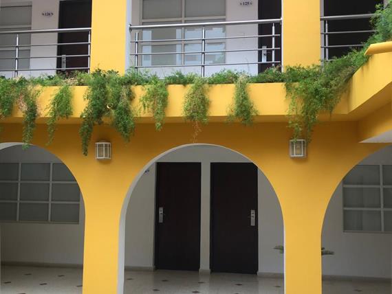 JARJIN INTERNO 1.jpeg