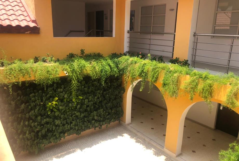 JARDIN INTERNO 10.jpeg