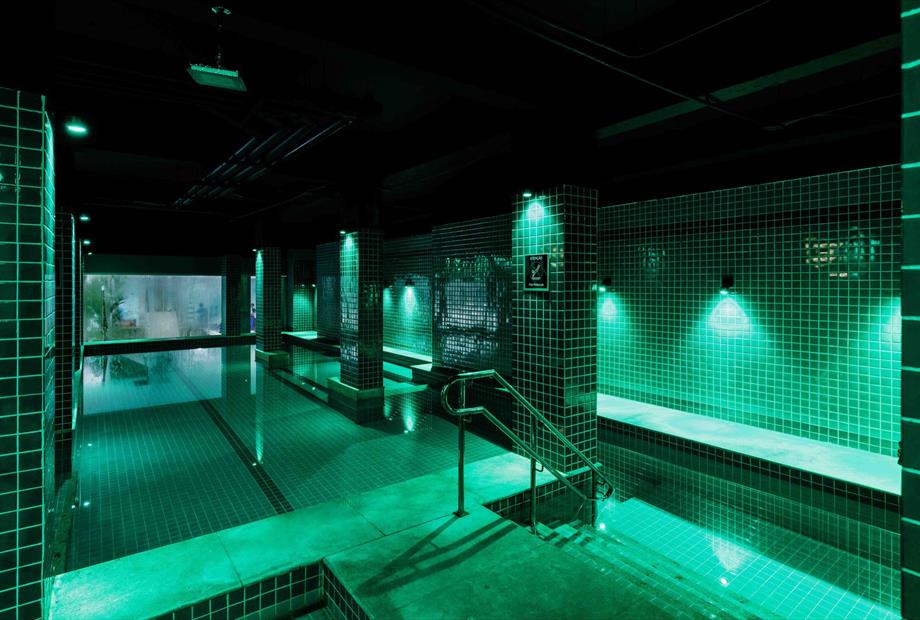 link stay - lazer - 5d4_2056.jpg