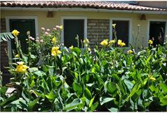 Quarto Econômico ( Duplo ou Solteiro)