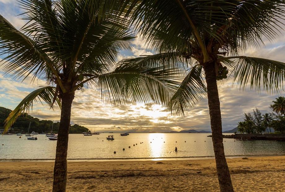 coqueiro na praia.jpg