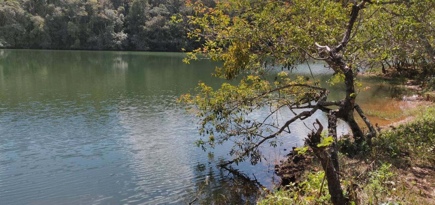 04 - Lagoa.jpg