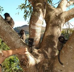 05 - Area externa.JPG