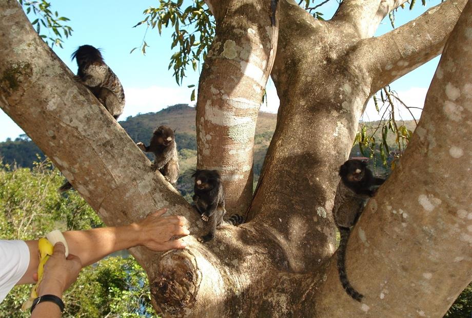 05 - Area externa.JPG