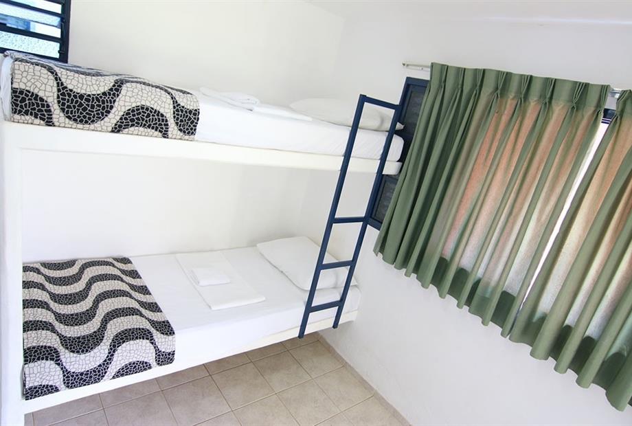 alegria solteiro.jpg