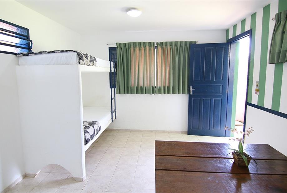 alegria solteiro2.jpg