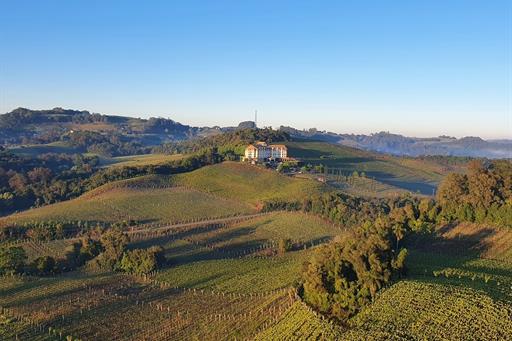baloismo + hotel + vista + vinhedos.jpg