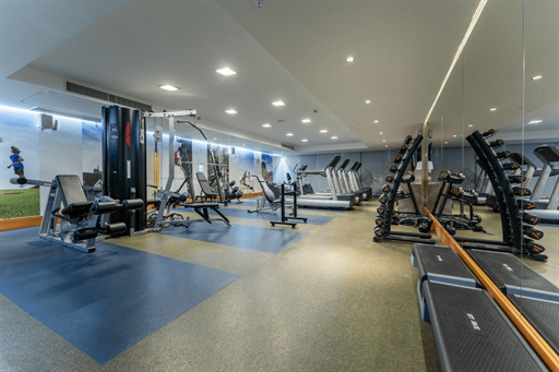 dcgr_2025_fit-cen_960x640-1.png