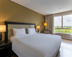 Quarto Luxo Com 1 Cama King Size