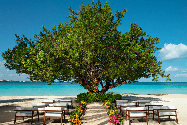 dresc-ext-wed-beach-tree-ceremony-1a-cb.png