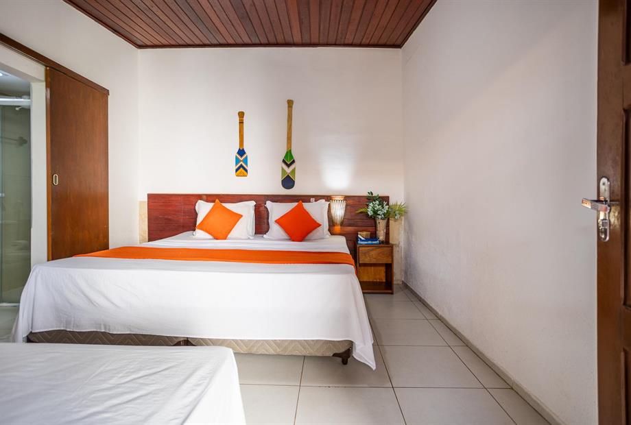 standard 2_easy-resize.com.jpg