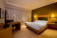 Apartamento Padrão 1 Cama Queen OU 2 Camas Twin