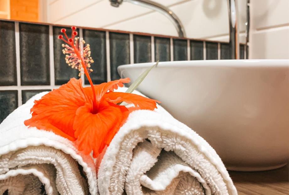 whatsapp image 2021-03-19 at 16.41.37 (4).jpeg